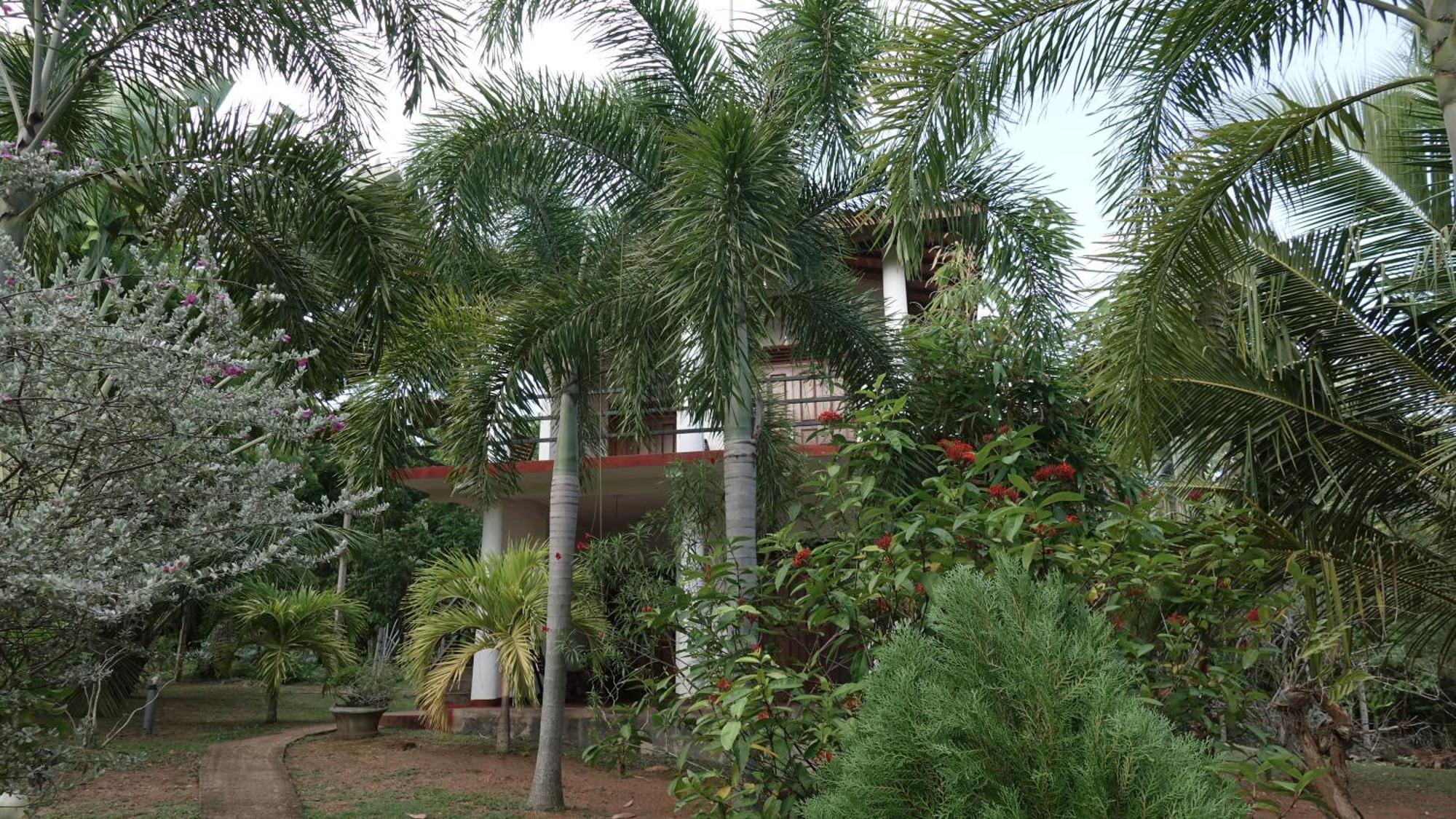 Salt Lake Cabanas & Restaurant Tangalle Exterior foto